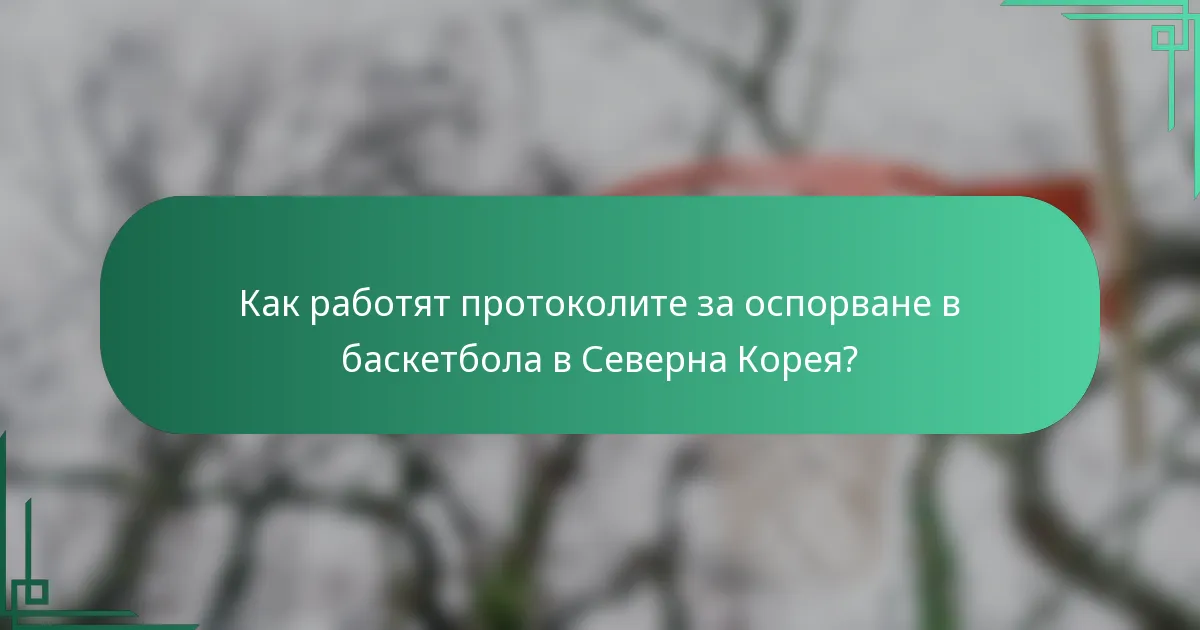 Как работят протоколите за оспорване в баскетбола в Северна Корея?